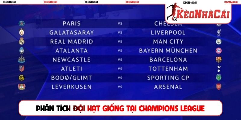 Phân tích đội hạt giống tại Champions League